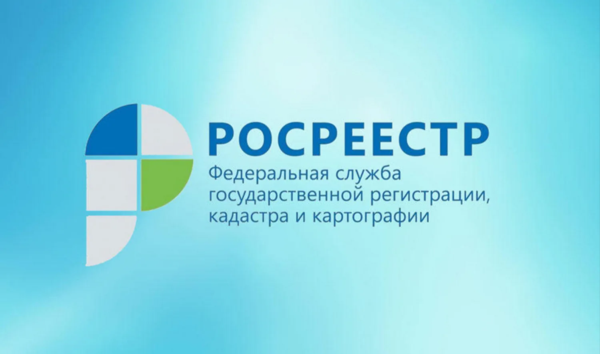 Где и как получить сведения о земле из госфондаданных рассказали   в Курском Росреестре.