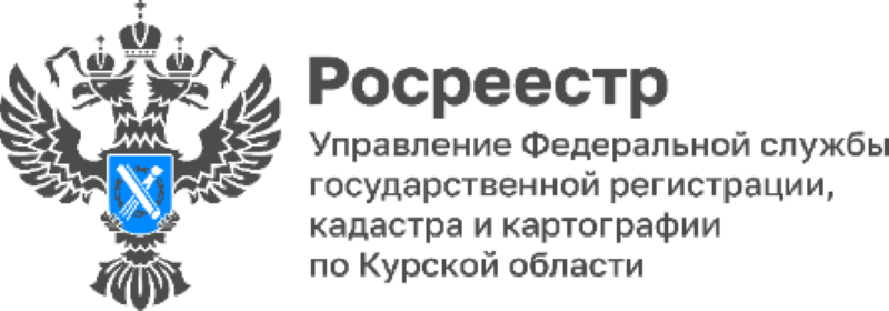 Право на поддержку: Курский Росреестр в рамках проекта «Правомобиль».